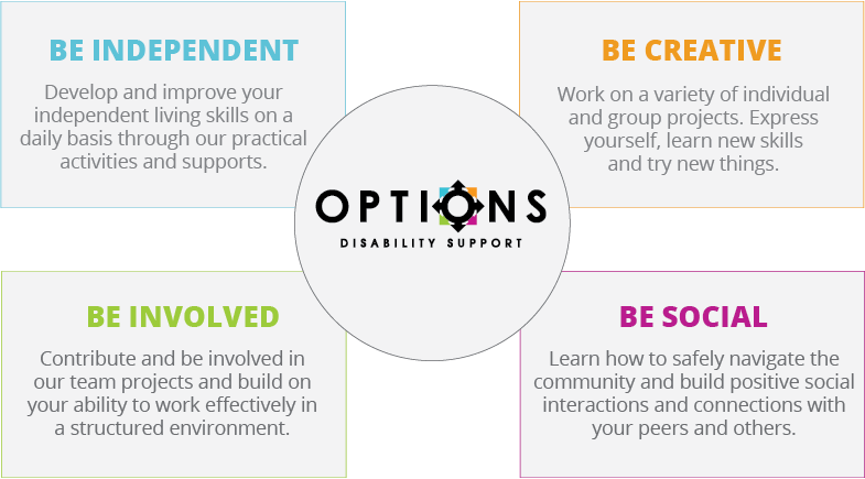 OPTIONS Key Focus Areas Infographic