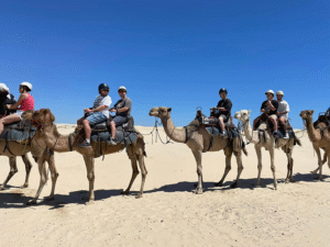 SOCIAL-CONNECTIONS-MENS-GROUP-CAMEL-RIDING