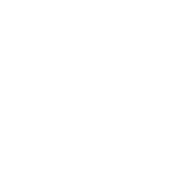 Options The Shed Logo